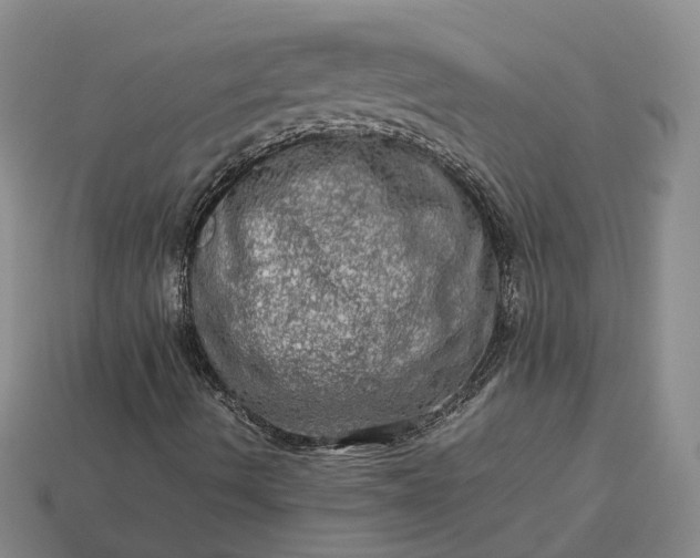 X0000112951490200909071104