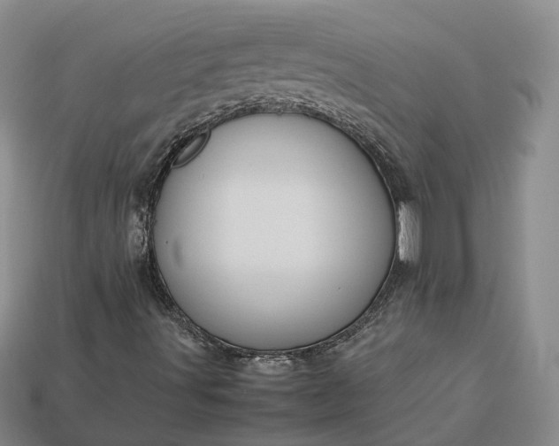 X0000112951491200909071104