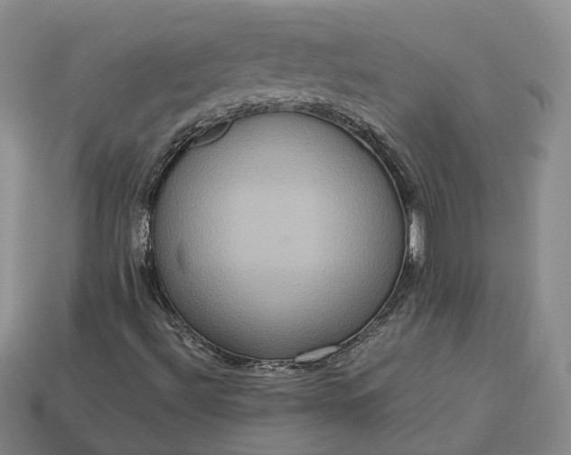 X0000112951492200909071104