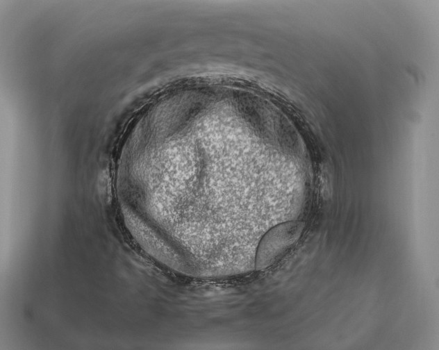 X0000112951493200909071104