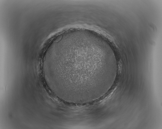 X0000112951494200909071104