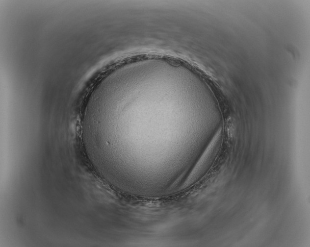 X0000112951495200909071104