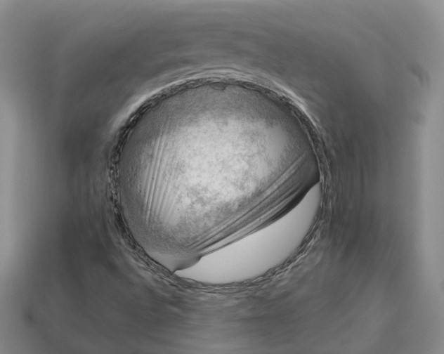 X0000112951496200909071104