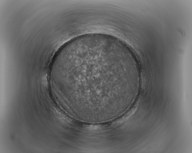 X0000112951497200909071104