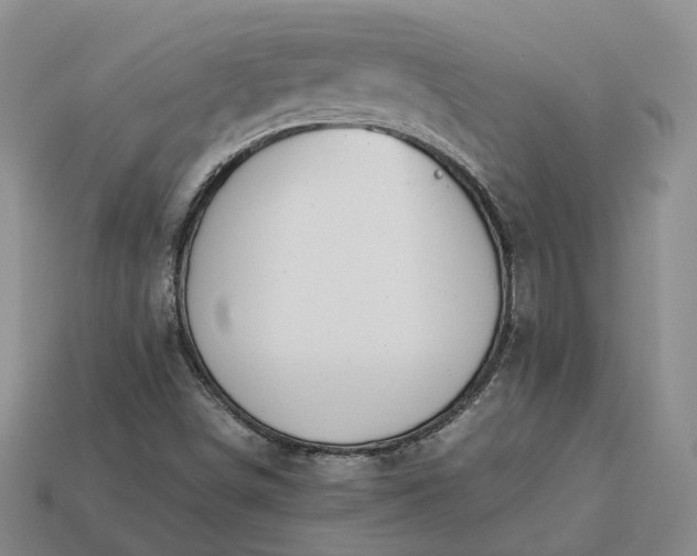 X0000112951498200909071104