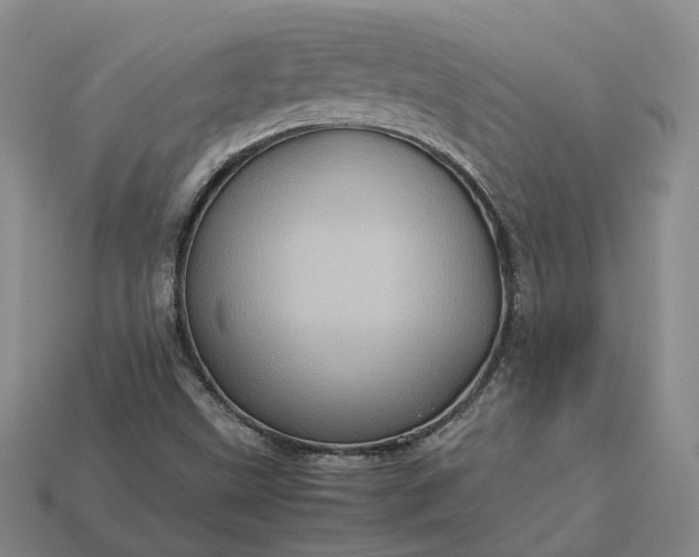 X0000112951499200909071104