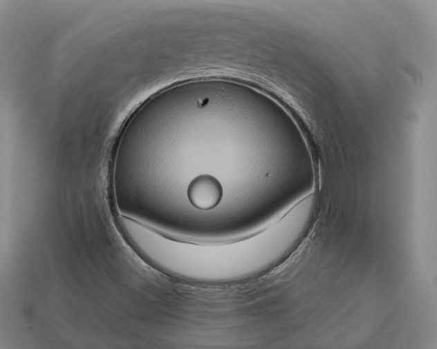 X0000112951500200909071104