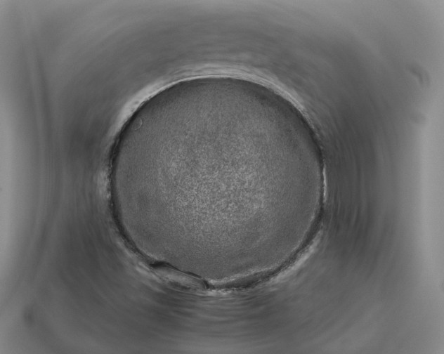 X0000112951501200909071104