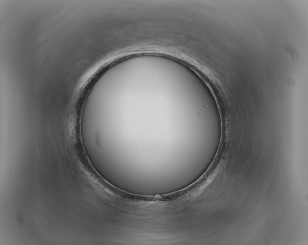 X0000112951502200909071104