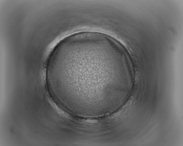 X0000112951503200909071104