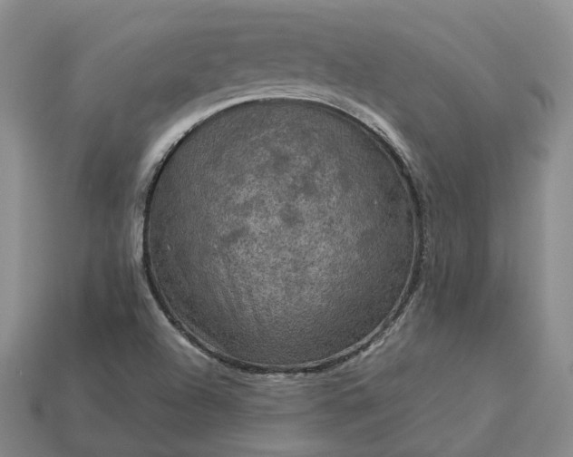 X0000112951504200909071104