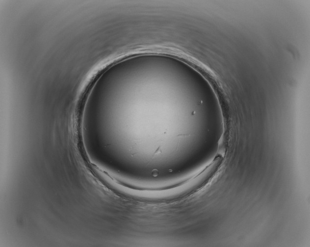 X0000112951506200909071104