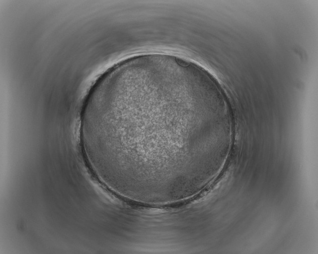 X0000112951507200909071104