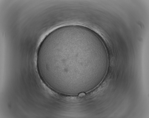 X0000112951508200909071104