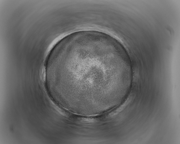 X0000112951509200909071104