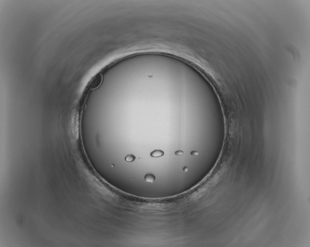 X0000112951510200909071104