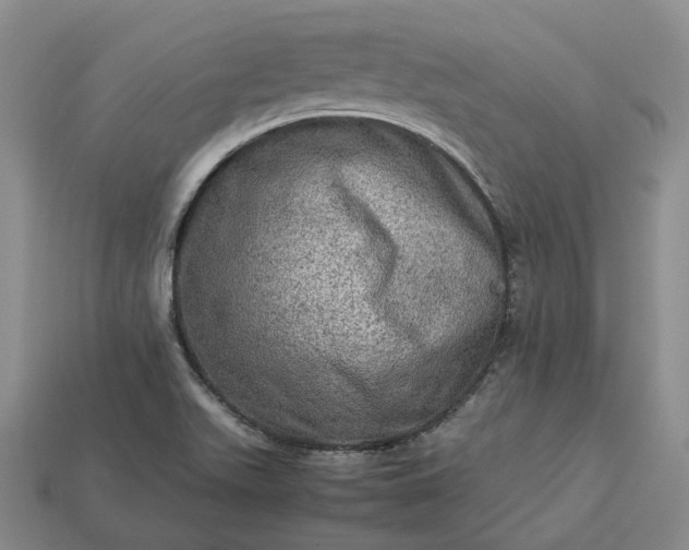 X0000112951511200909071105