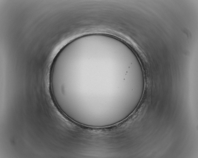 X0000112951512200909071105