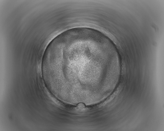 X0000112951513200909071105