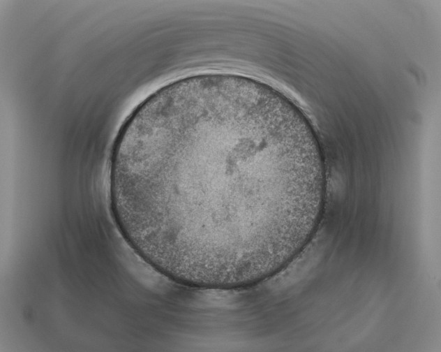 X0000112951514200909071105