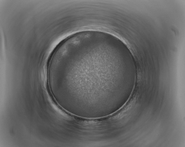 X0000112951515200909071105