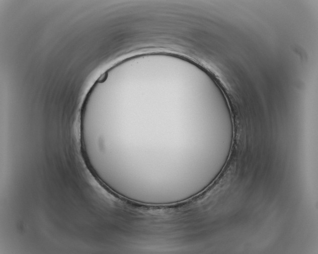 X0000112951516200909071105