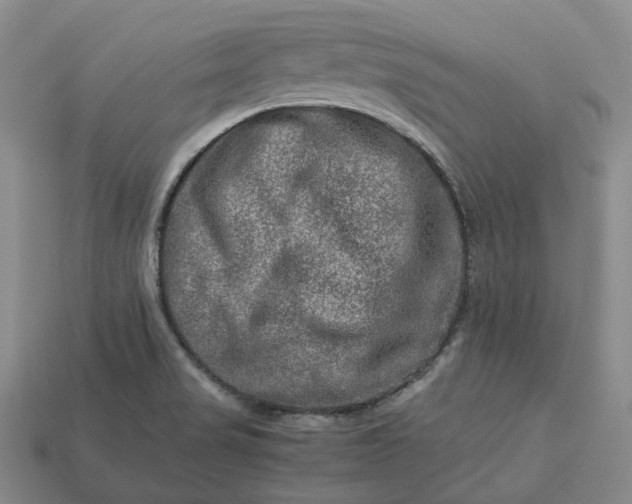 X0000112951517200909071105