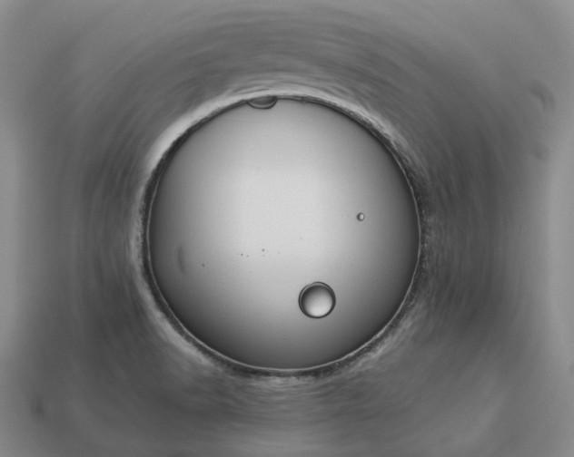 X0000112951518200909071105