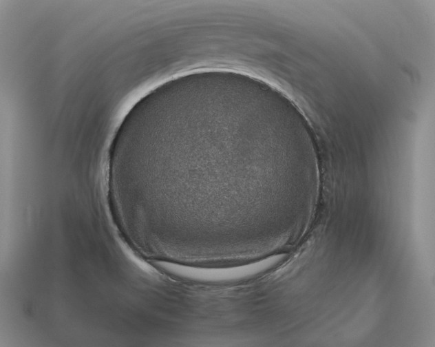 X0000112951519200909071105