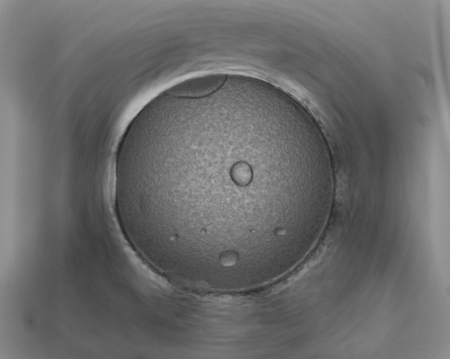 X0000112951520200909071105