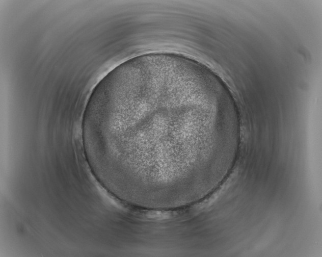 X0000112951521200909071105