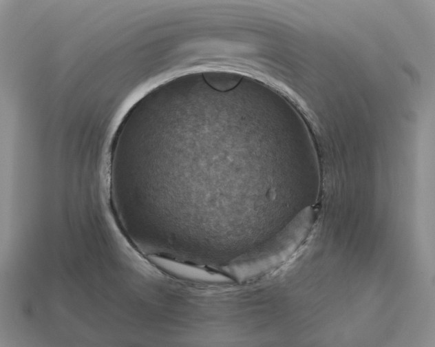 X0000112951522200909071105