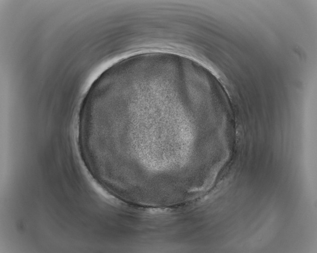 X0000112951523200909071105