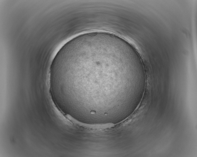 X0000112951524200909071105