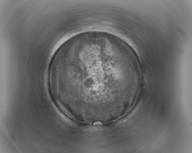 X0000112951525200909071105