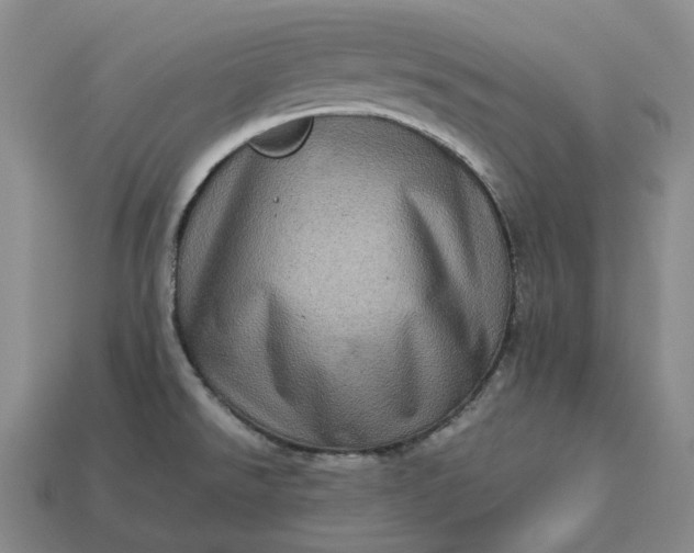 X0000112951526200909071105