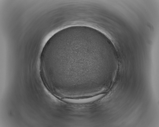 X0000112951527200909071105