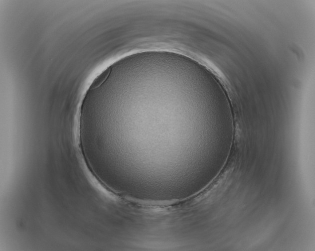 X0000112951528200909071105