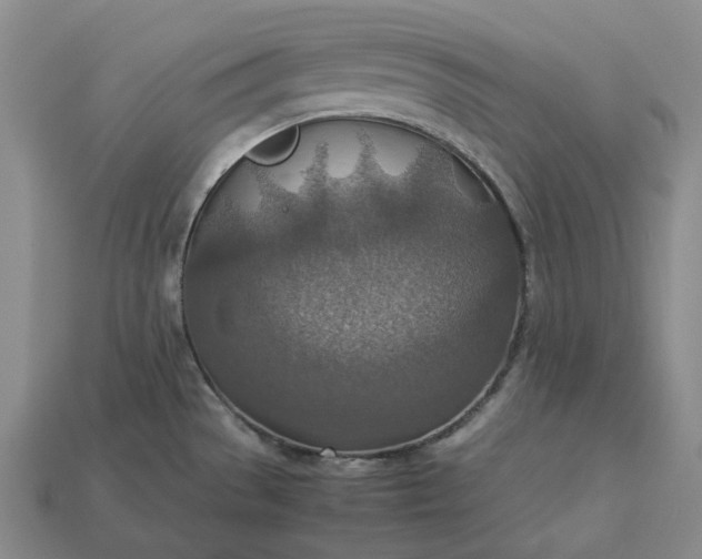 X0000112951529200909071105