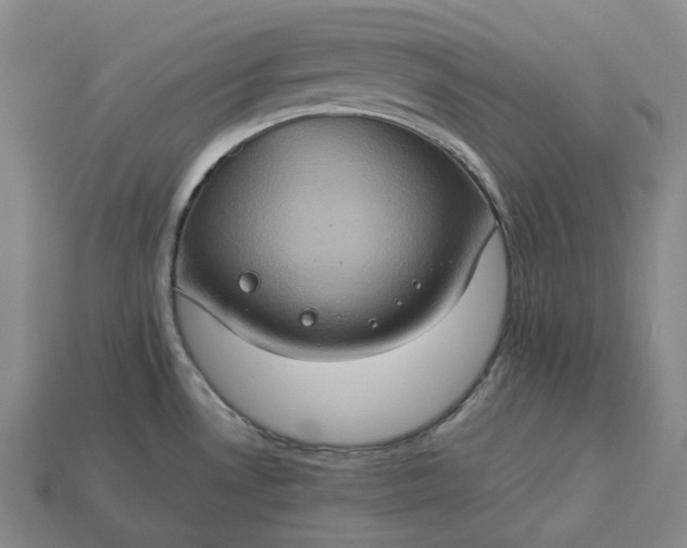 X0000112951530200909071105