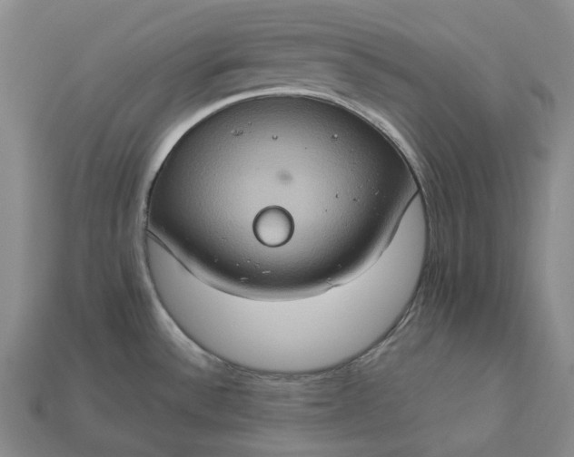 X0000112951532200909071105