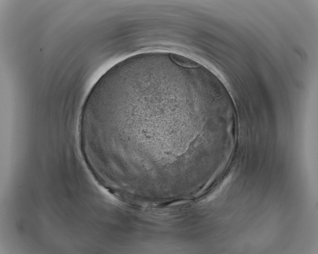 X0000112951533200909071105