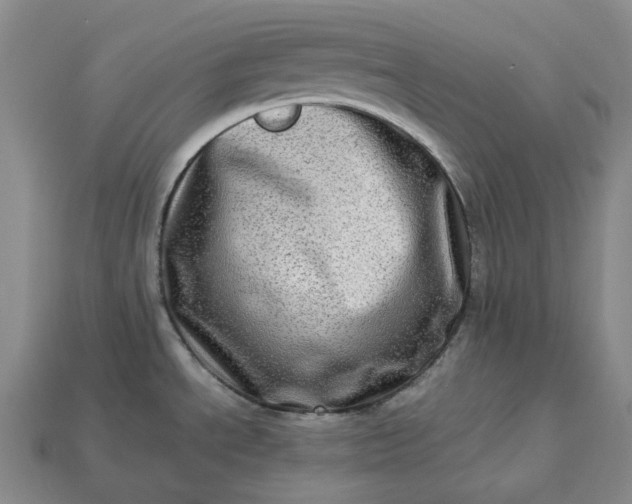 X0000112951534200909071105