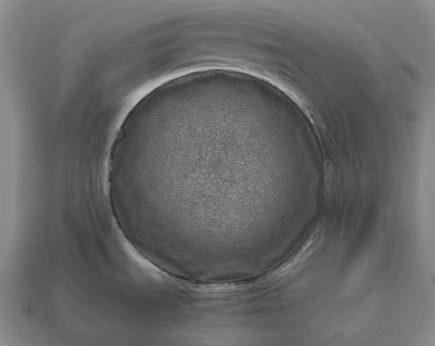 X0000112951535200909071105