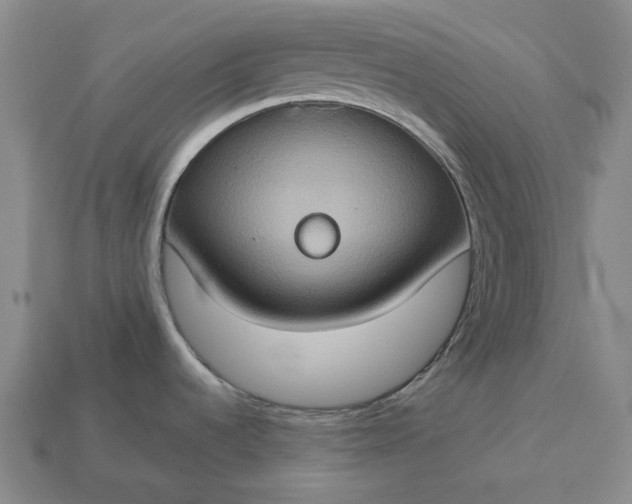 X0000112951536200909071105