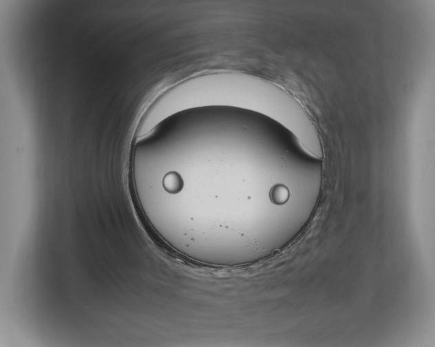 X0000112950003200909141417