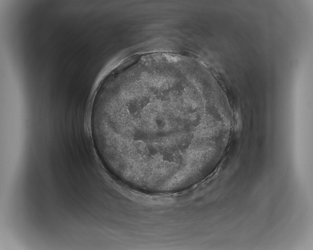 X0000112950004200909141417