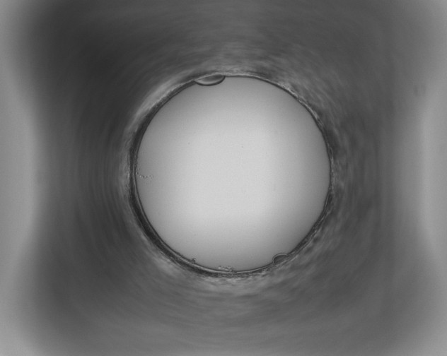 X0000112950005200909141417