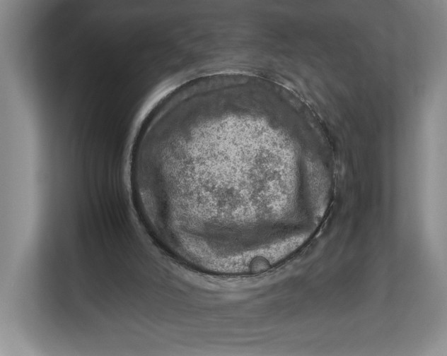 X0000112950006200909141417