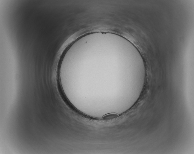 X0000112950007200909141417